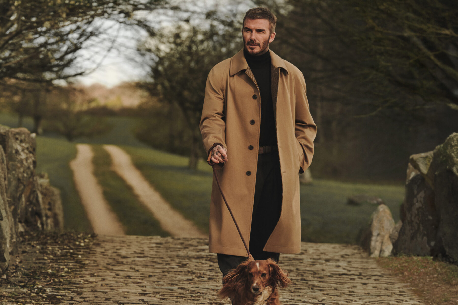 David Beckham wandelt in een camelkleurige jas met een hond aan de lijn over een kasseienpad